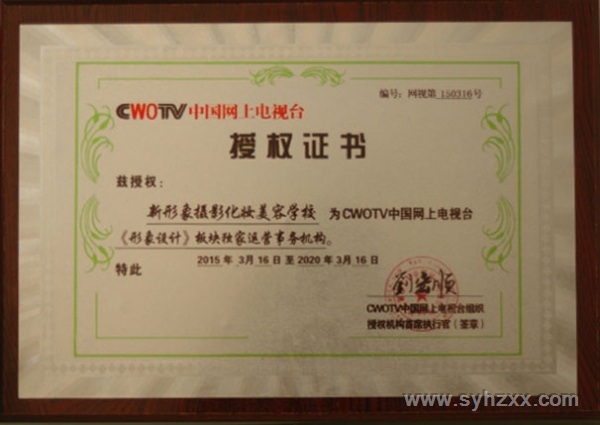 網(wǎng)上電視臺獨(dú)家板塊榮譽(yù)證書