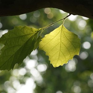 學(xué)習(xí)攝影，對(duì)于“光”你需要足夠的了解