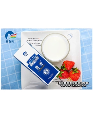 產(chǎn)品廣告攝影